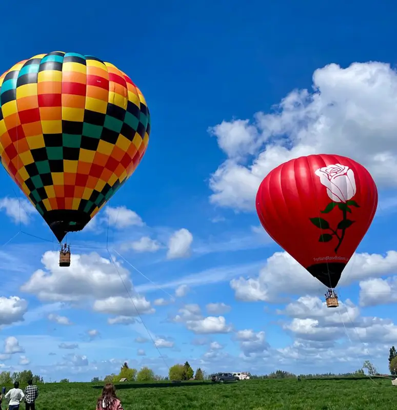 A photo of two hot air balloon floating above a green field