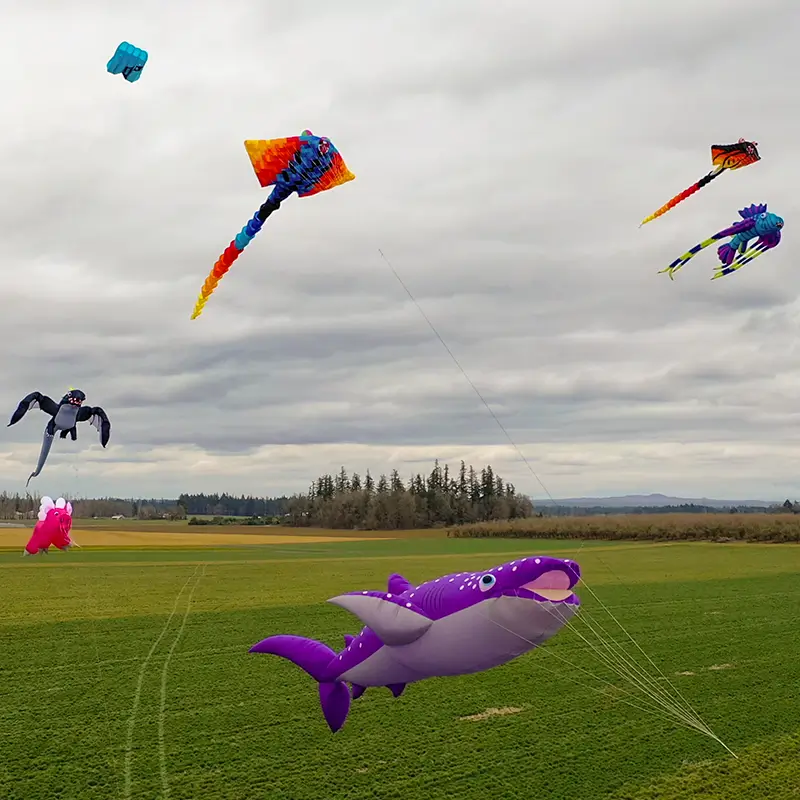 A photo of giant kites flying above a grassy field