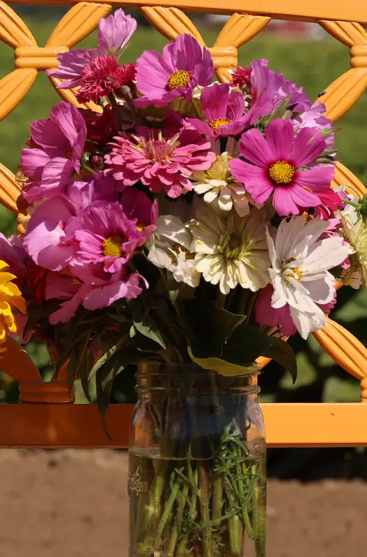 A close-up of a freshly picked bouquet of summer flowers in a glass jar