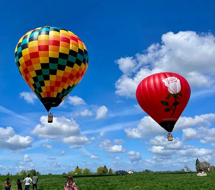 A photo of two tethered hot air balloons floating above a green, grassy field